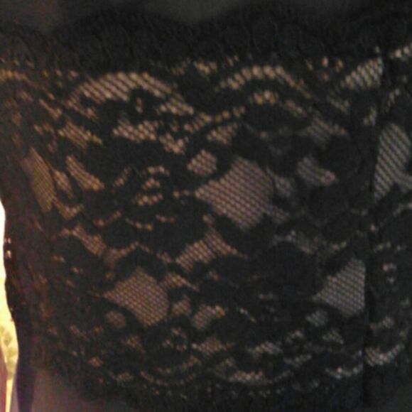 NWT D. J. Summers Lace and Sheer Evening Dress - Picture 7 of 10